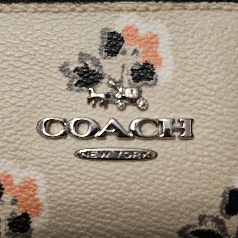 Coach crossover - Picture 4 of 6